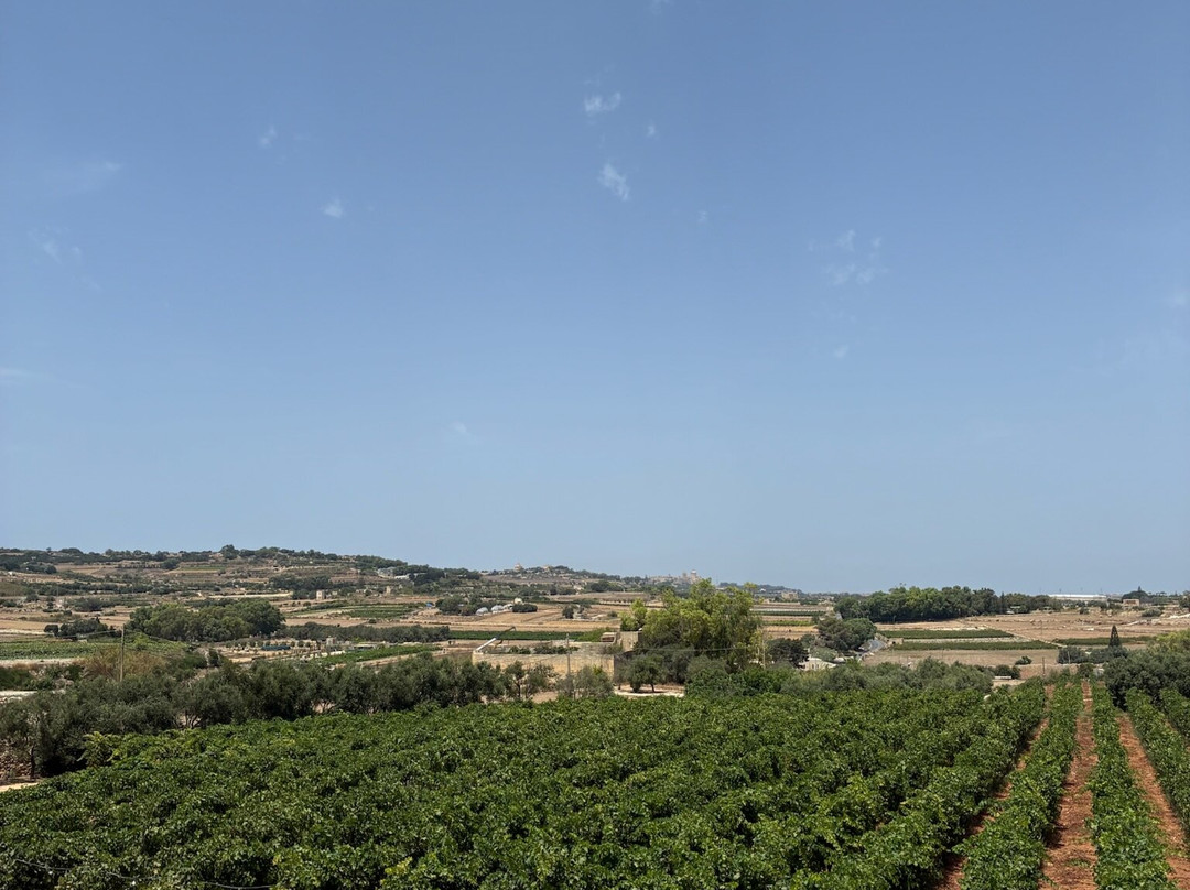 Ta' Betta Wine Estates-Siggiewi必去景点