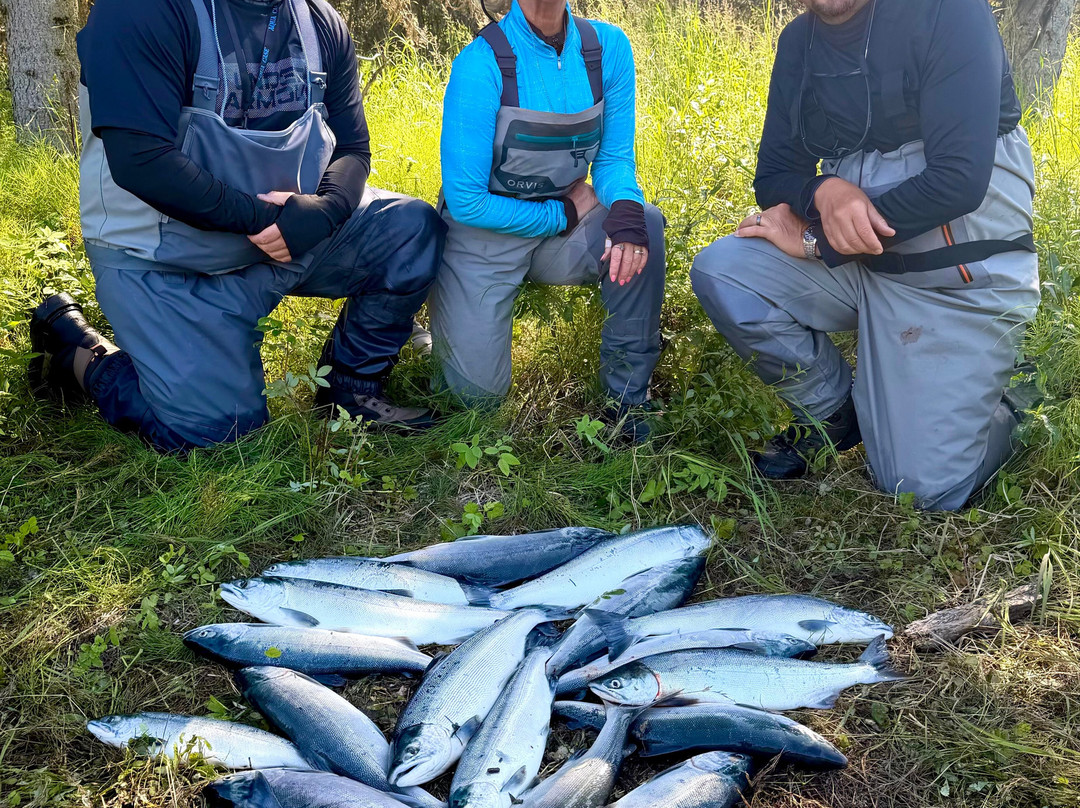 Kenai Kingpin Sportfishing-索尔多特纳必去景点