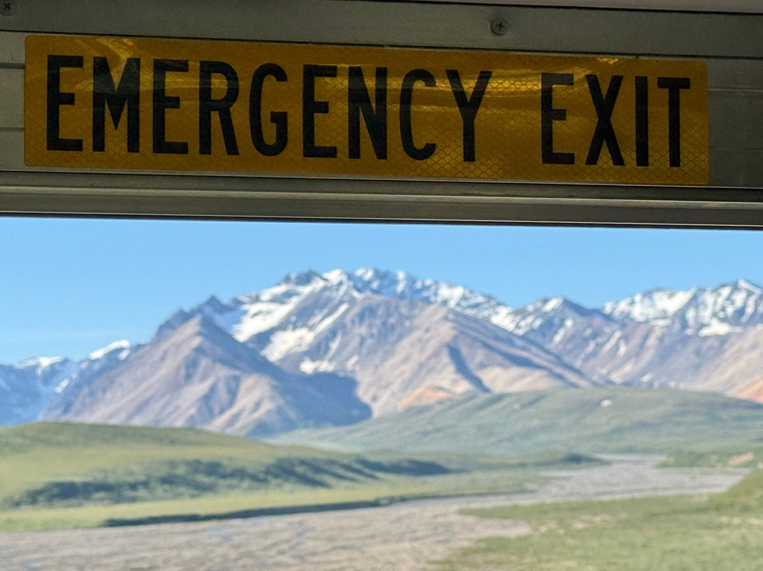 Tundra Wilderness Tour-Denali Park必去景点