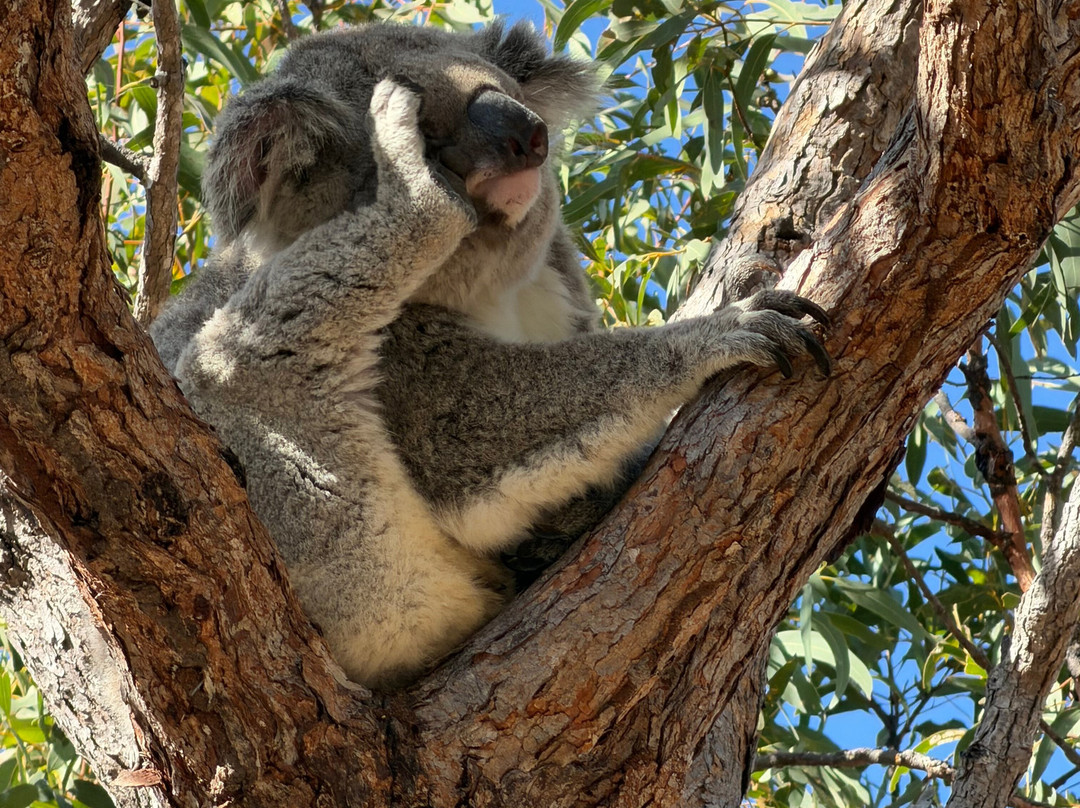 Magnetic Island Forts Walk-Magnetic Island必去景点