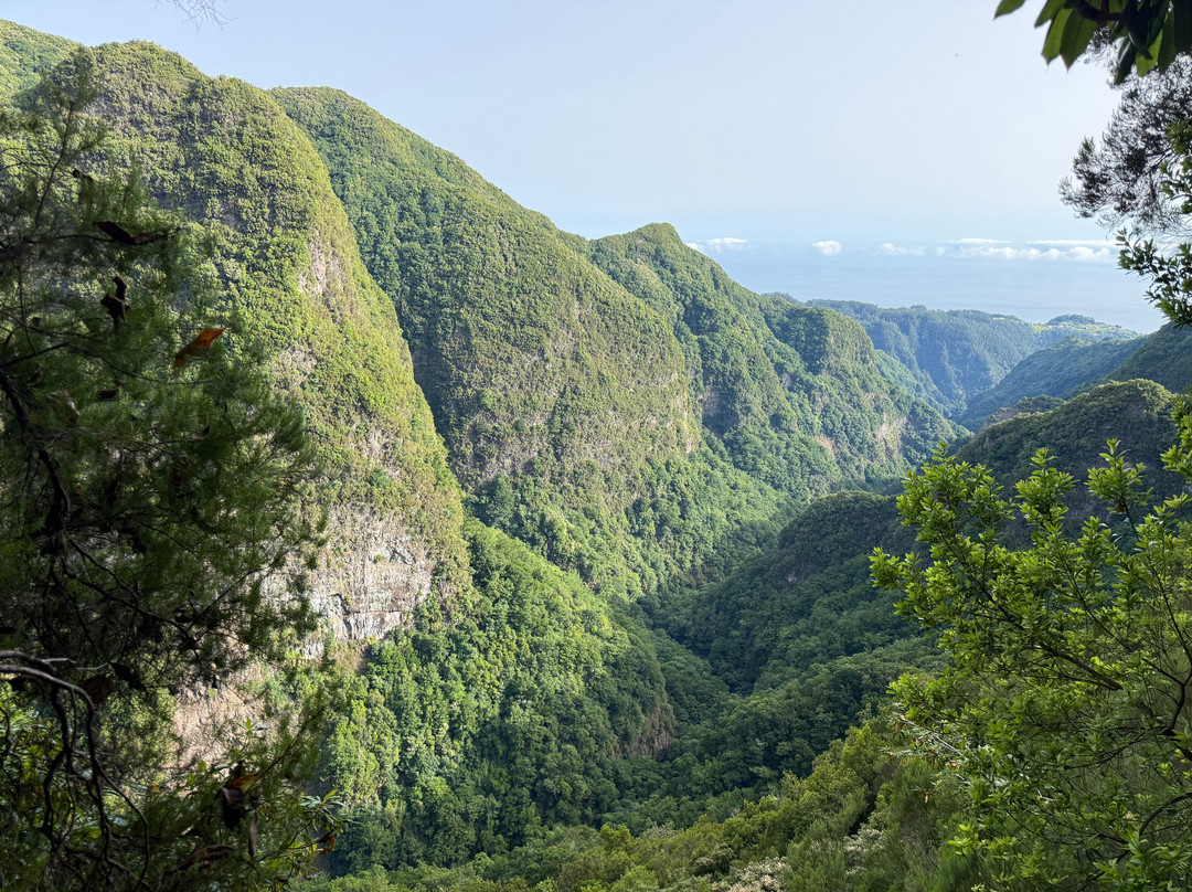 Levada Do Caldeirao Verde-Santana必去景点