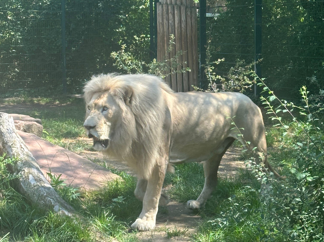 Zoologischer Garten Magdeburg-马格德堡必去景点