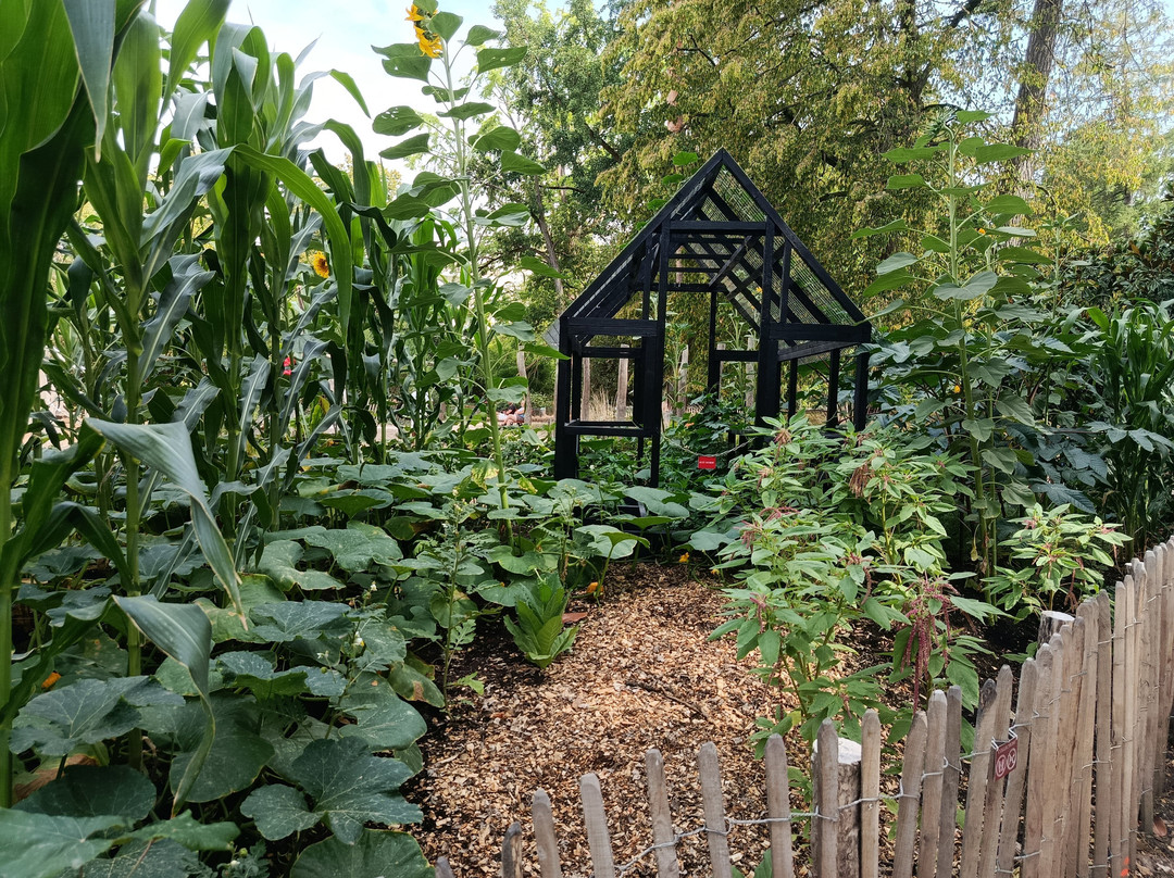 Jardin Botanique de Metz-Montigny-les-Metz必去景点