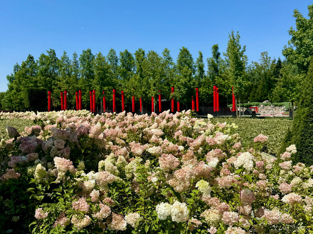 Galitskogo Park-克拉斯诺达尔必去景点