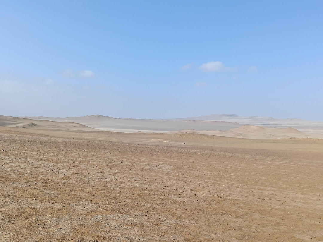 Paracas National Reserve-Ica Region必去景点