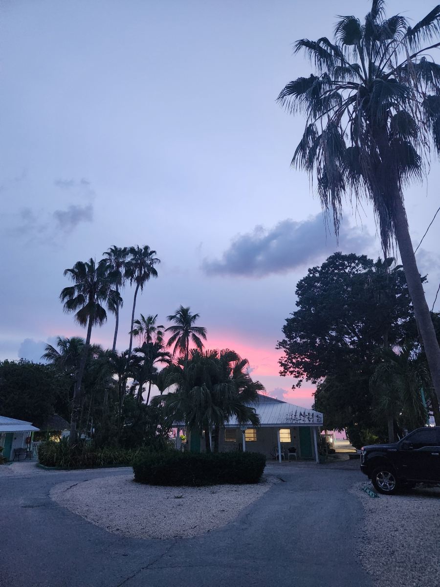 阿莫雷潜水度假村-旅行者