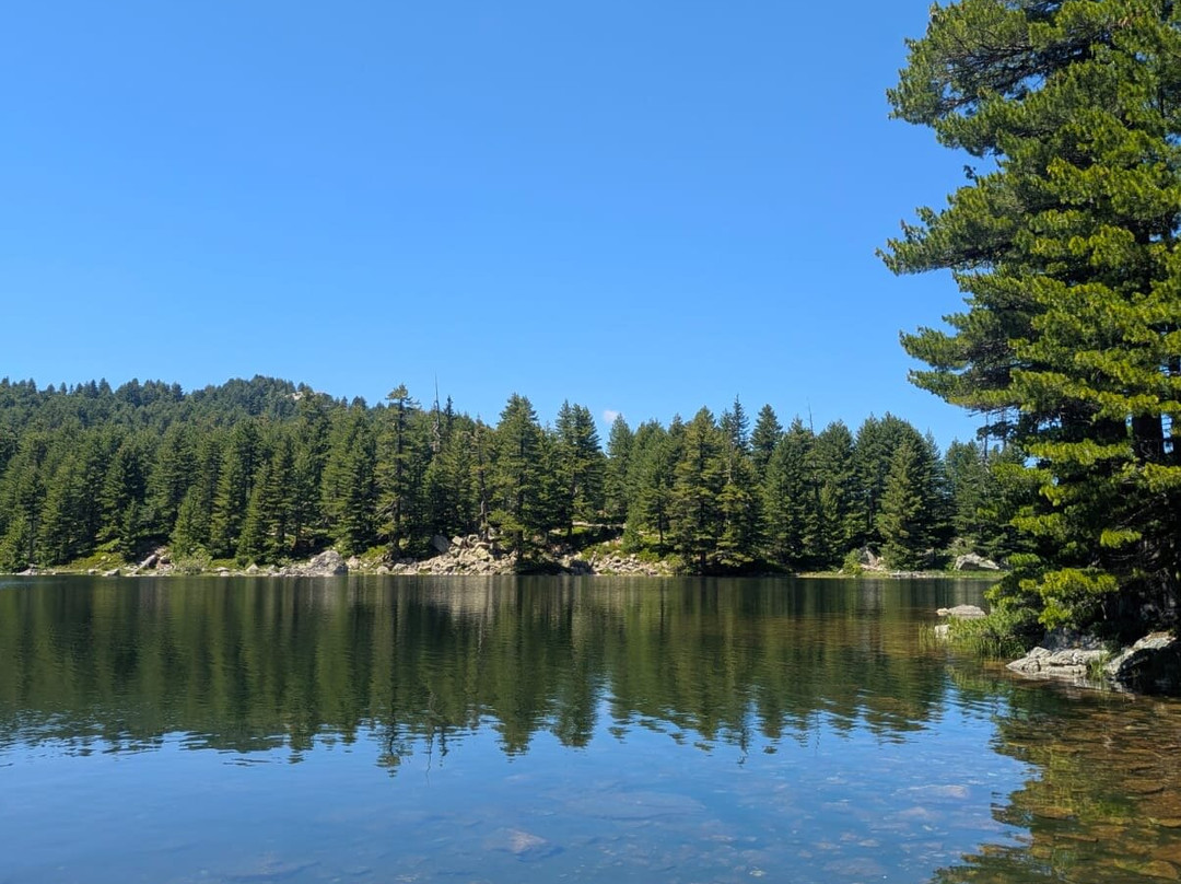 Summit Balkans-Mitrovica必去景点