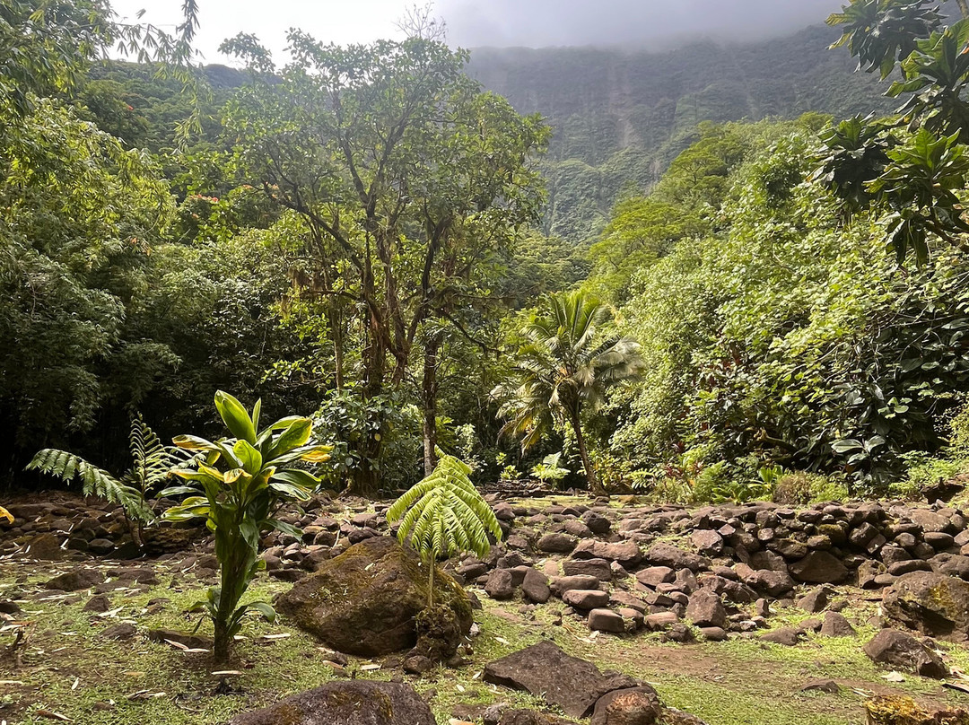 Le Rocher de Tahiti 4X4 Tours-皮拉尔必去景点
