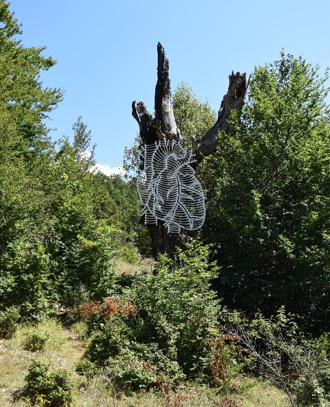 Bosco della difesa-Pescasseroli必去景点
