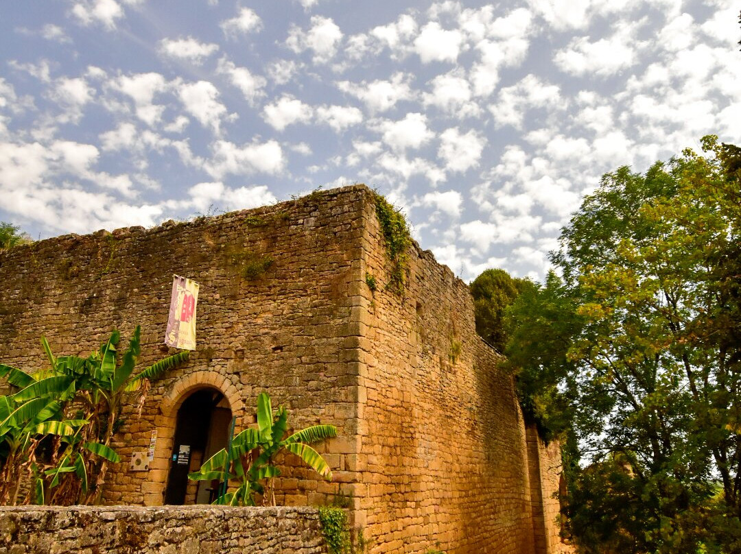 Château de Salignac-Salignac-Eyvigues必去景点