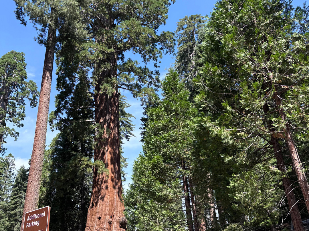 Kings Canyon-红杉&国王峡谷国家公园必去景点