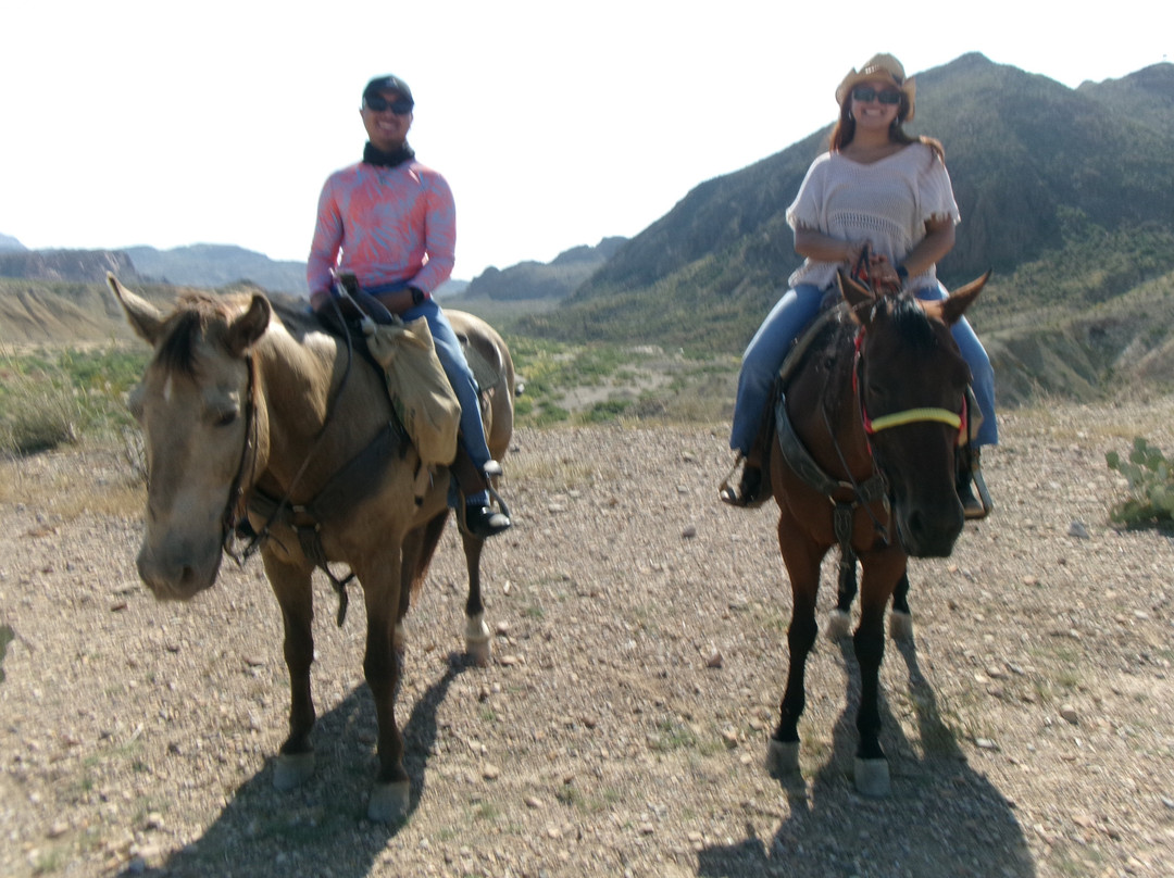 Big Bend & Lajitas Stables-Terlingua必去景点