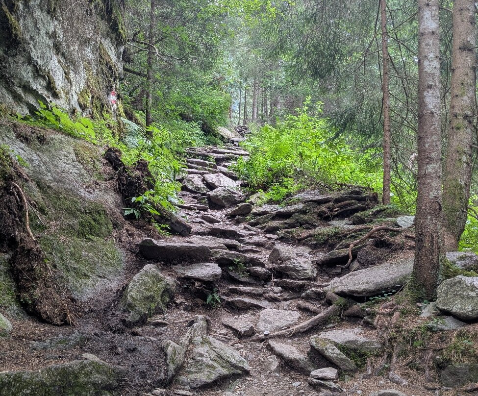 Krimml Falls (Krimmler Wasserfalle)-克林莫必去景点