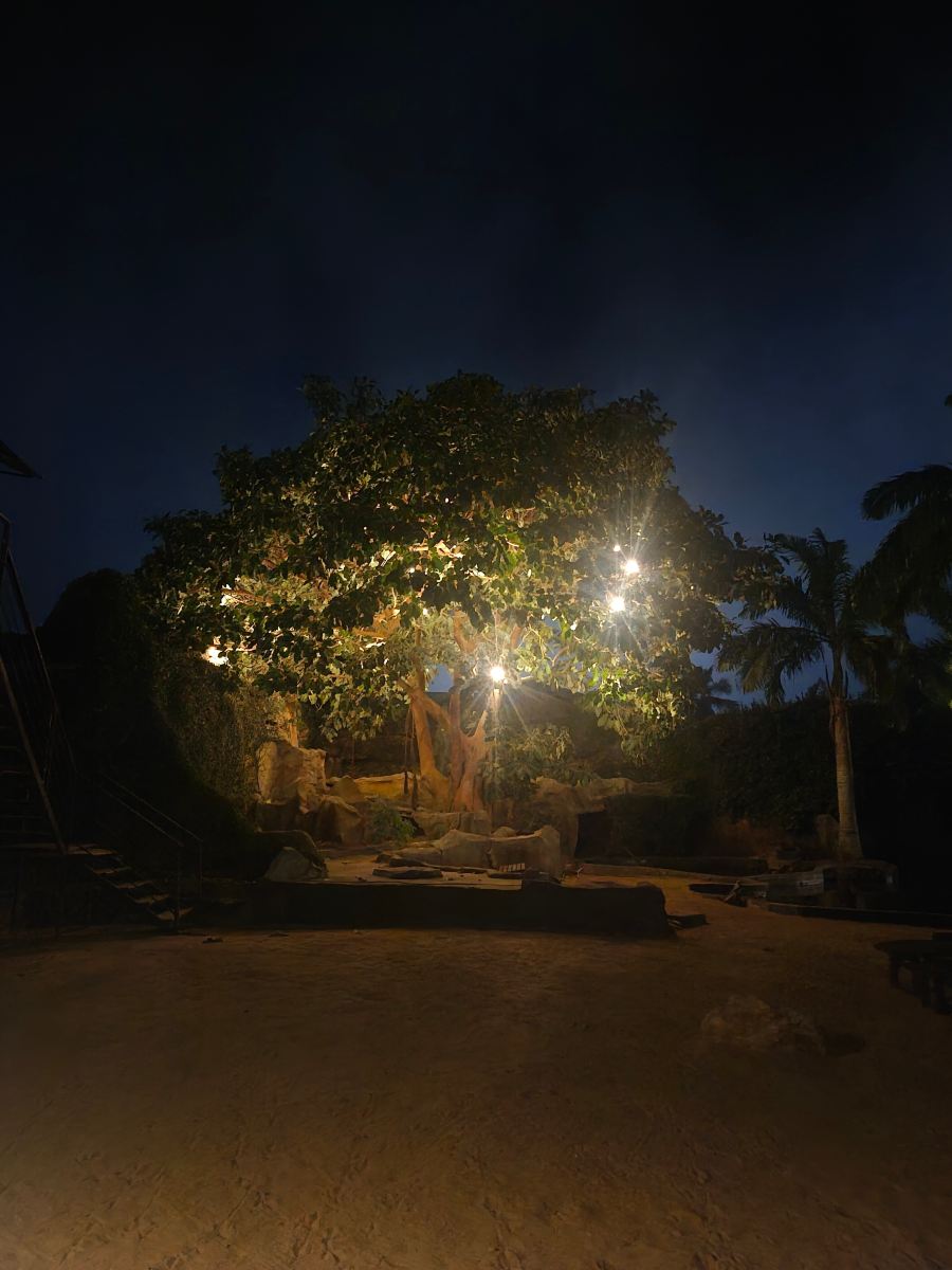 Aqua Safari Resort-旅行者