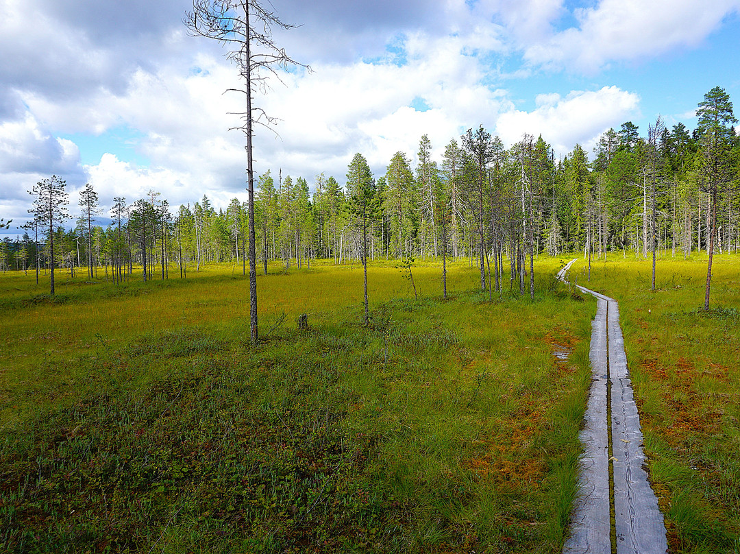 Syote National Park-Pudasjarvi必去景点