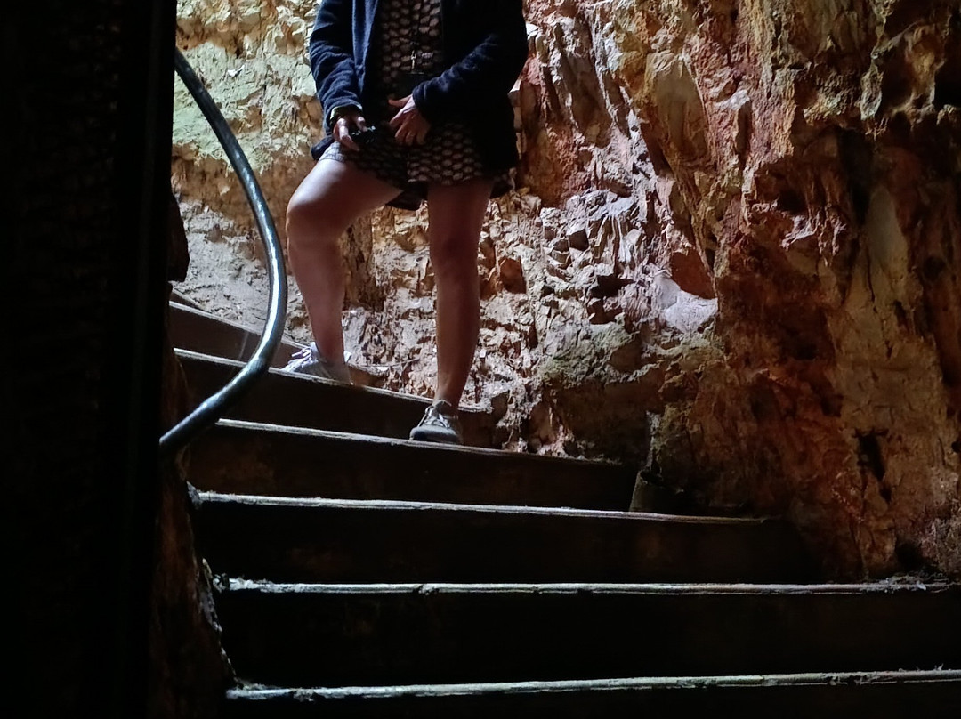 Aven Grotte Forestière-Orgnac-l'Aven必去景点