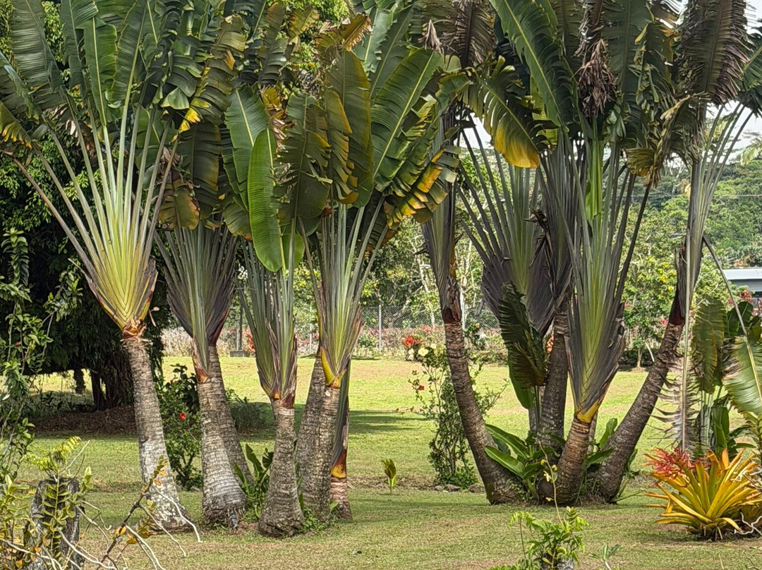 Baha'i House of Worship Samoa-阿皮亚必去景点