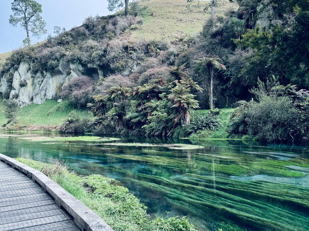 Blue Spring-普塔鲁鲁必去景点