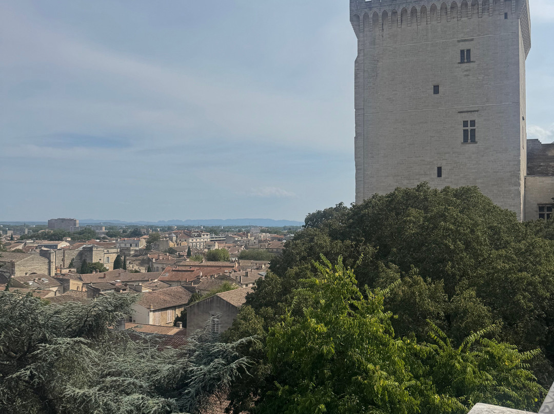 Palace Avignon-阿维尼翁必去景点