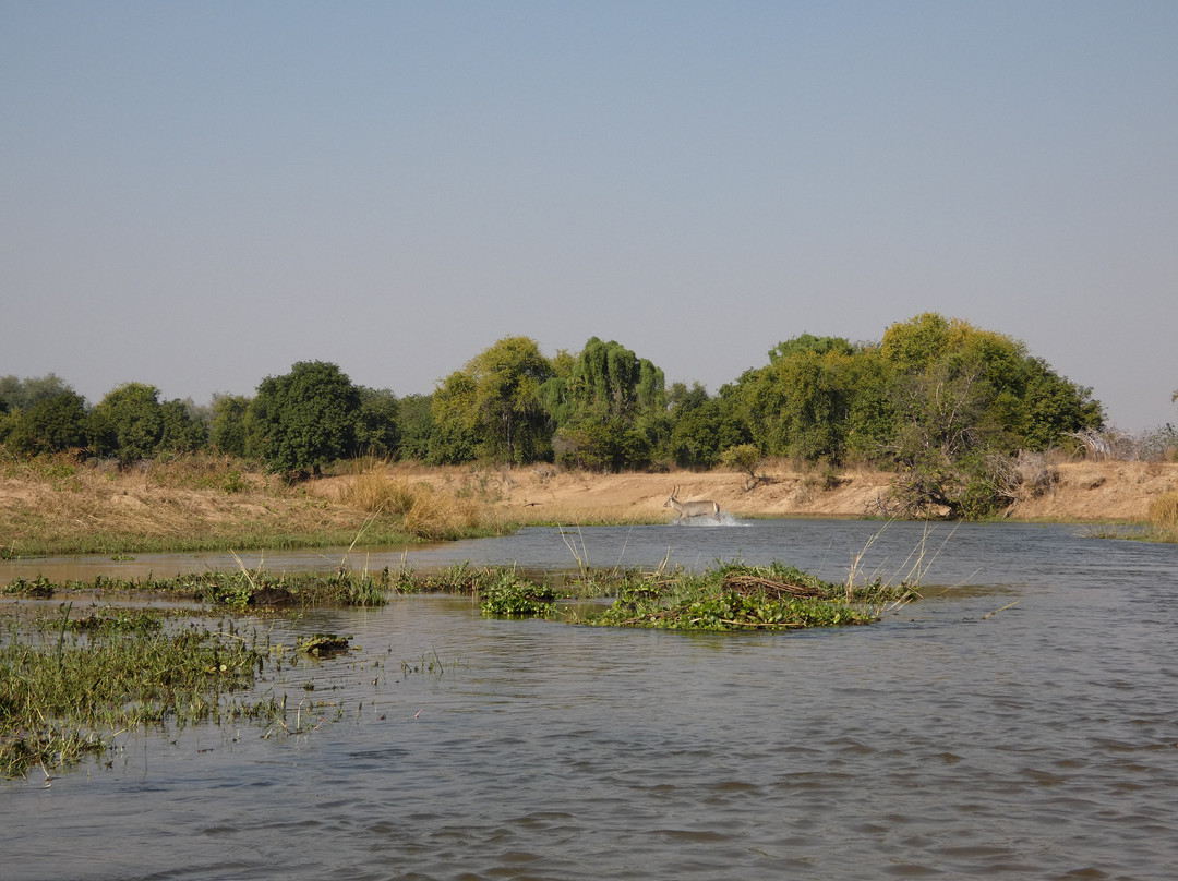 River Horse Safaris-Chirundu必去景点