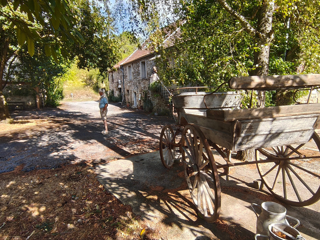 Verneuil酒店住宿-Domaine du Moulin de l'Etang