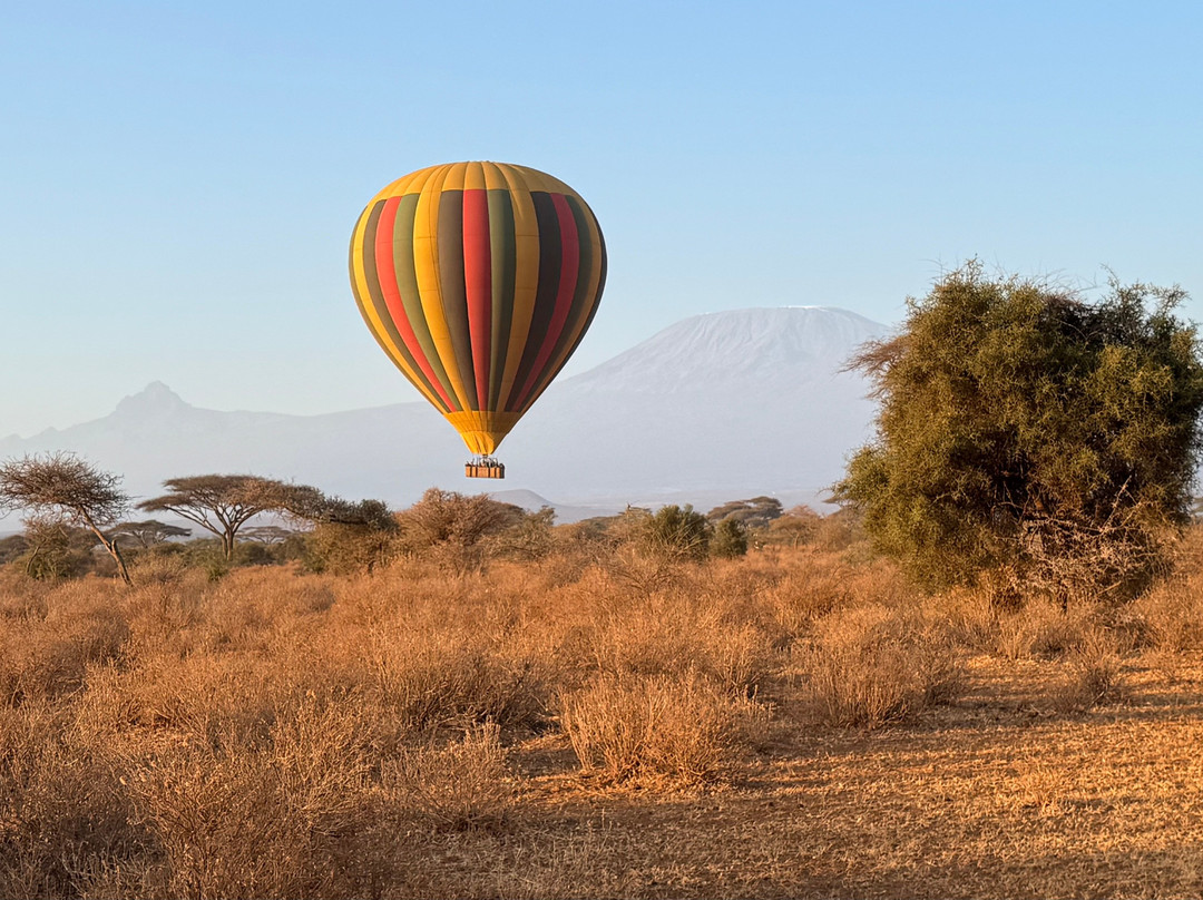 Kilimanjaro Balloon Safaris-安博塞利国家公园必去景点