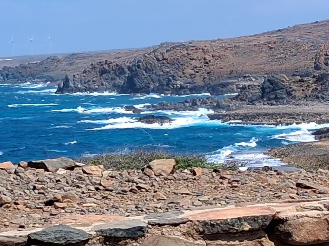Red Sail Sports Aruba-奥腊涅斯塔德必去景点