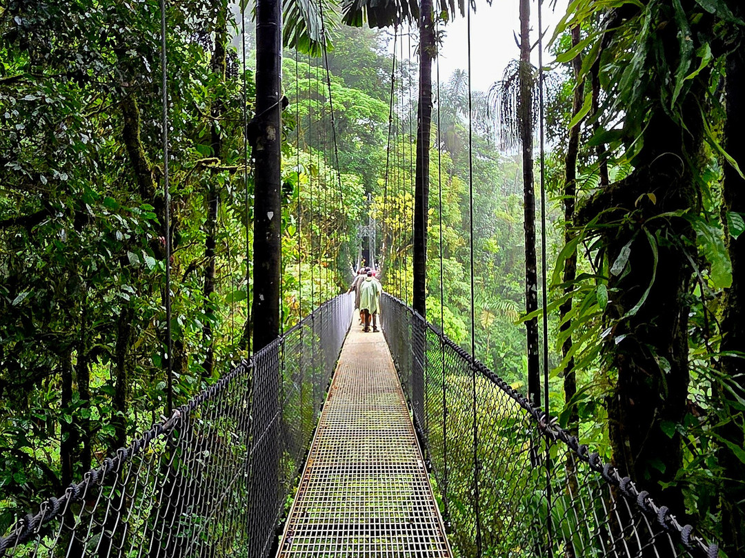 Arenal Hanging Bridges-阿雷纳火山国家公园必去景点