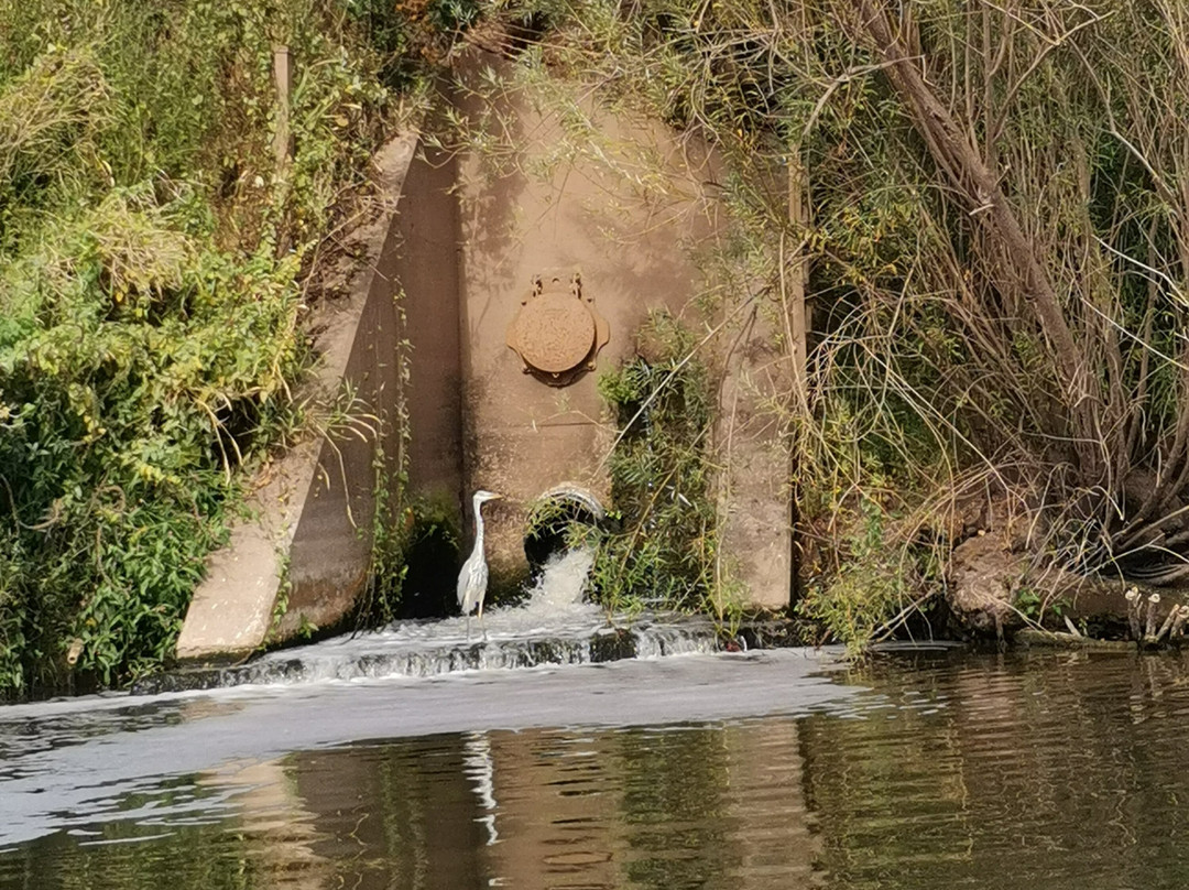 Severn Expeditions Day Boat Hire-Upton upon Severn必去景点