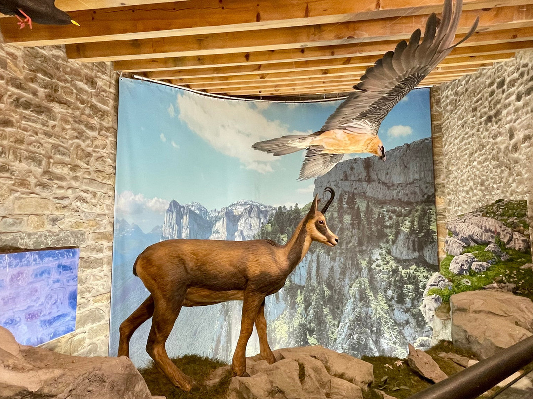 Eco Museo-Centro de Visitantes-艾因萨必去景点