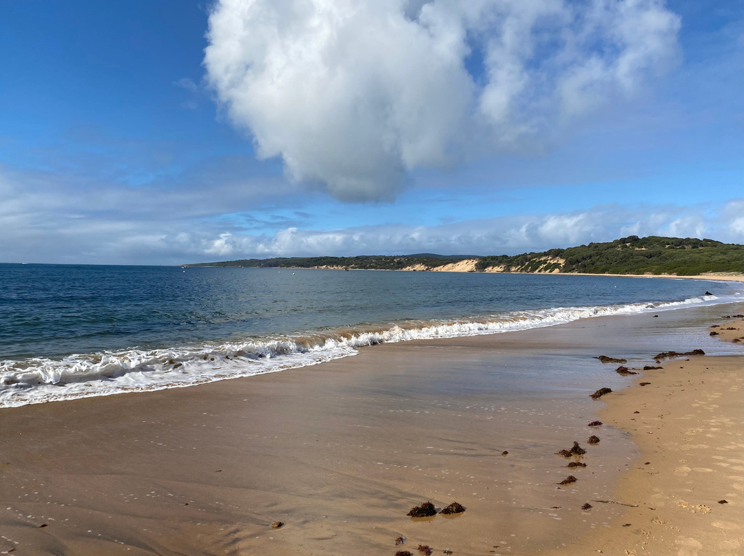 Woolamai Beach-Cape Woolamai必去景点