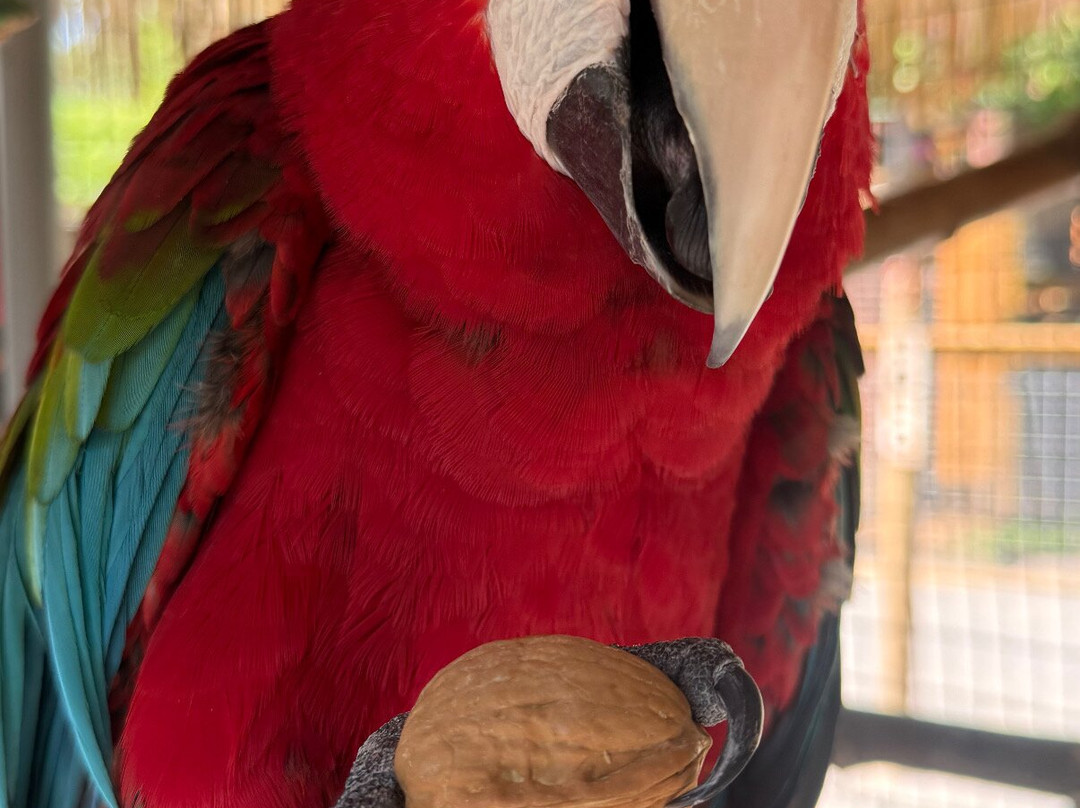 Jungle Experience Zoo-Granville必去景点