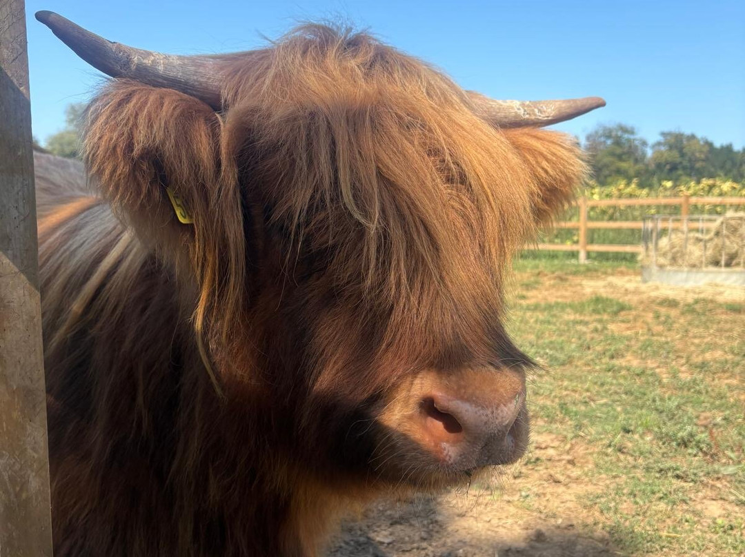 Quex Adventure Farm Park-Birchington必去景点