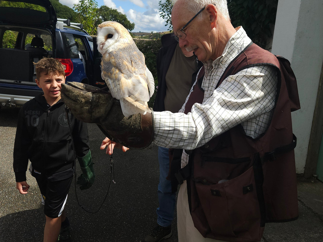 North Devon Hawk Walks-South Molton必去景点
