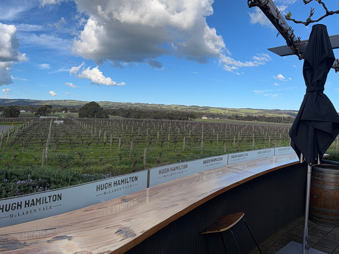 Hugh Hamilton Wines-麦克拉伦谷必去景点