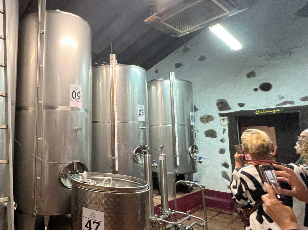 Bodegas Reverón-Vilaflor必去景点