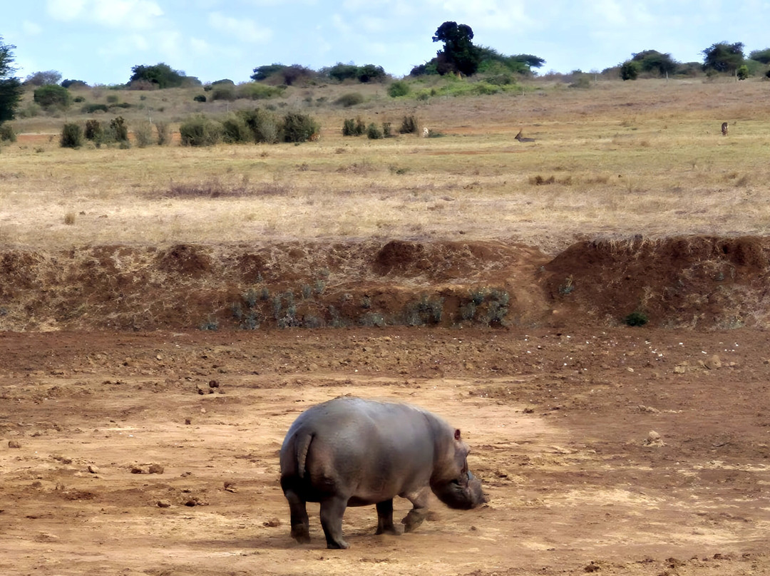 Top Africa Safaris-迪亚尼必去景点
