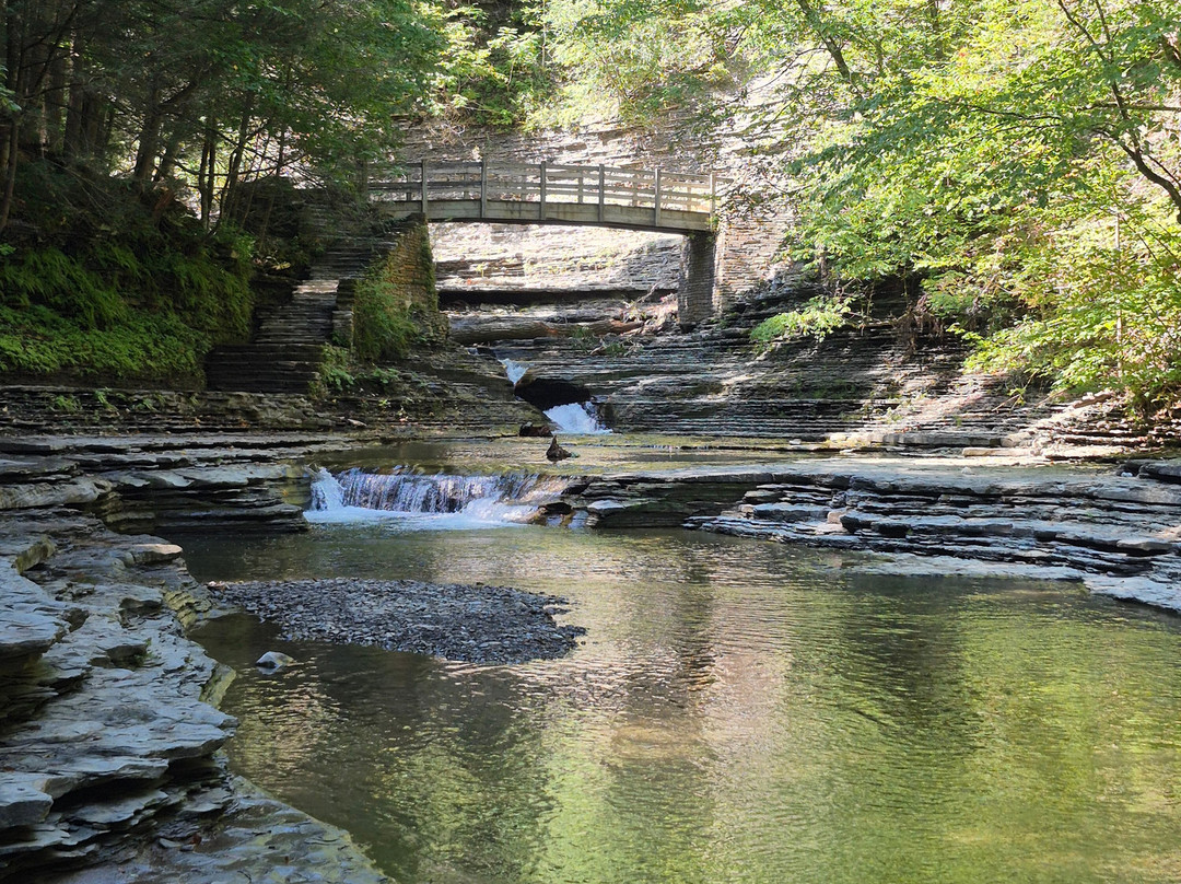 Stony Brook State Park-Dansville必去景点