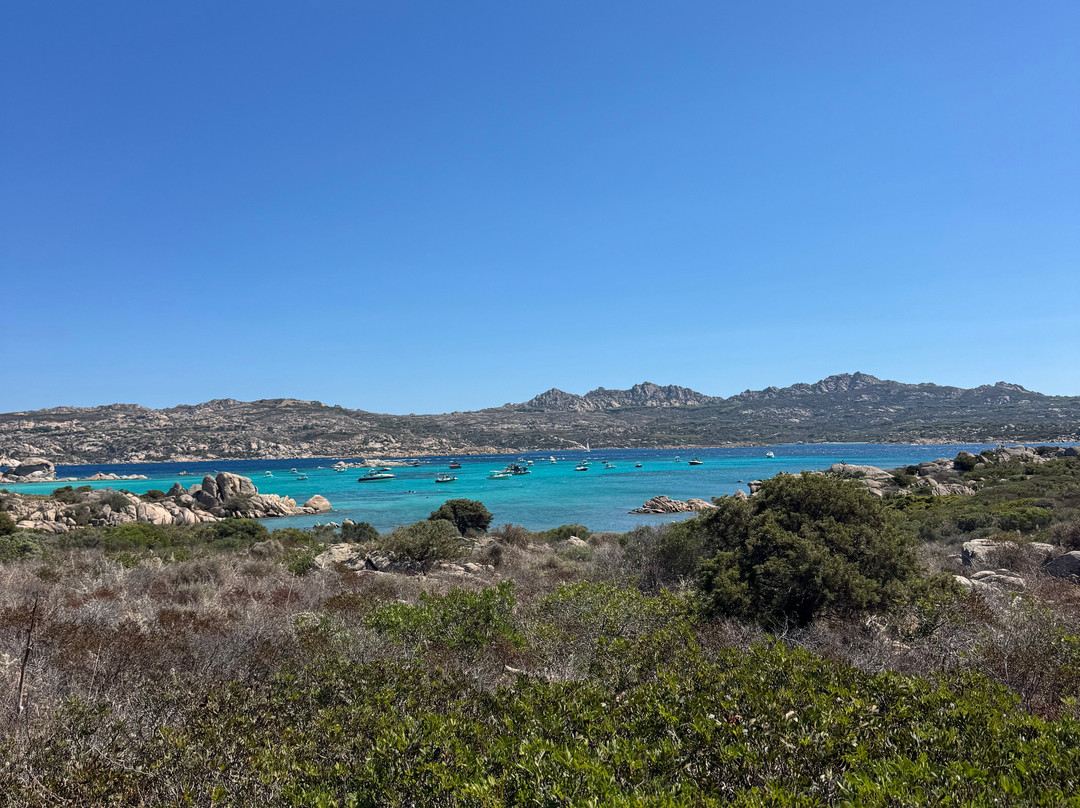 Spiaggia Testa di Polpo-拉马达莱娜必去景点