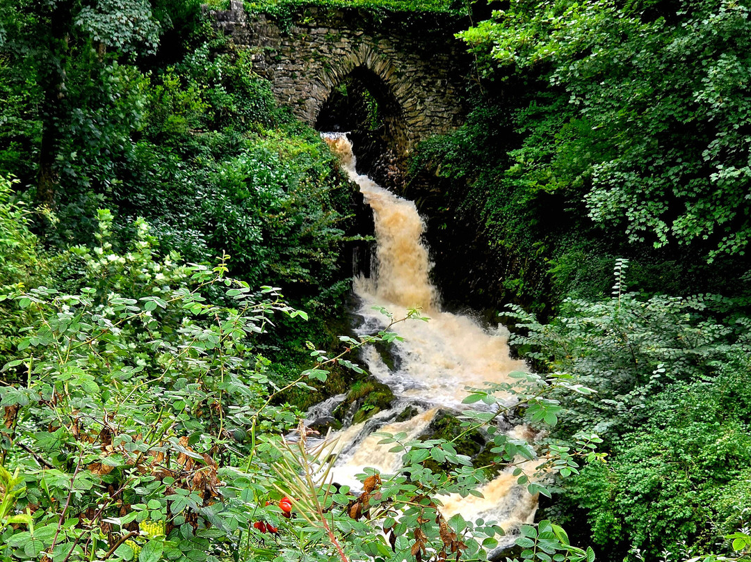 Ingleborough Cave-Clapham必去景点