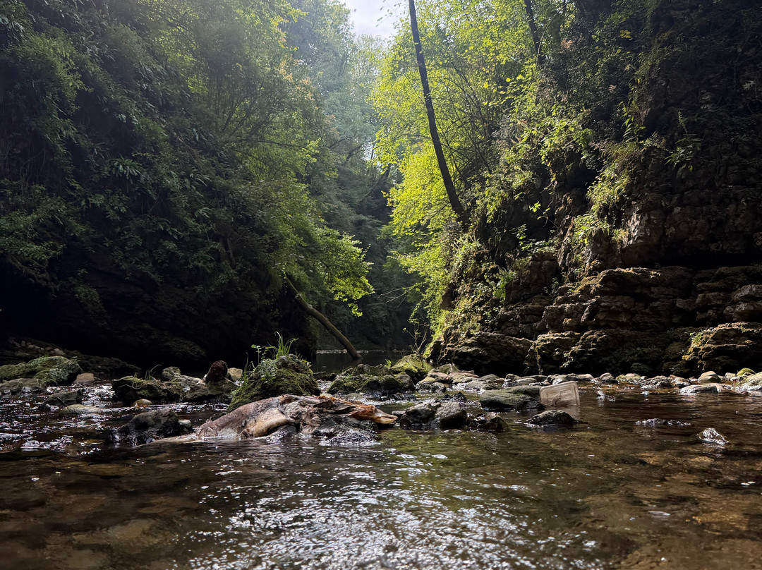 Cascata Di Ferrera Di Varese-Ferrera di Varese必去景点