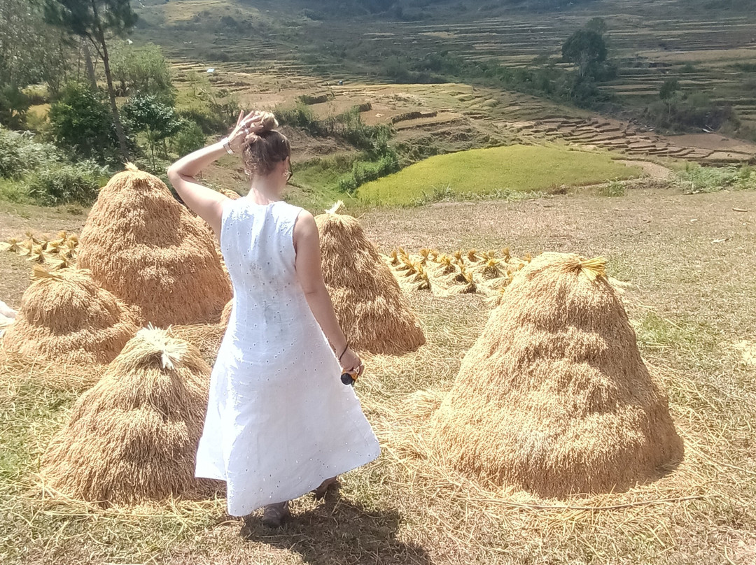 Tana Toraja Tours with Luther-兰特包必去景点