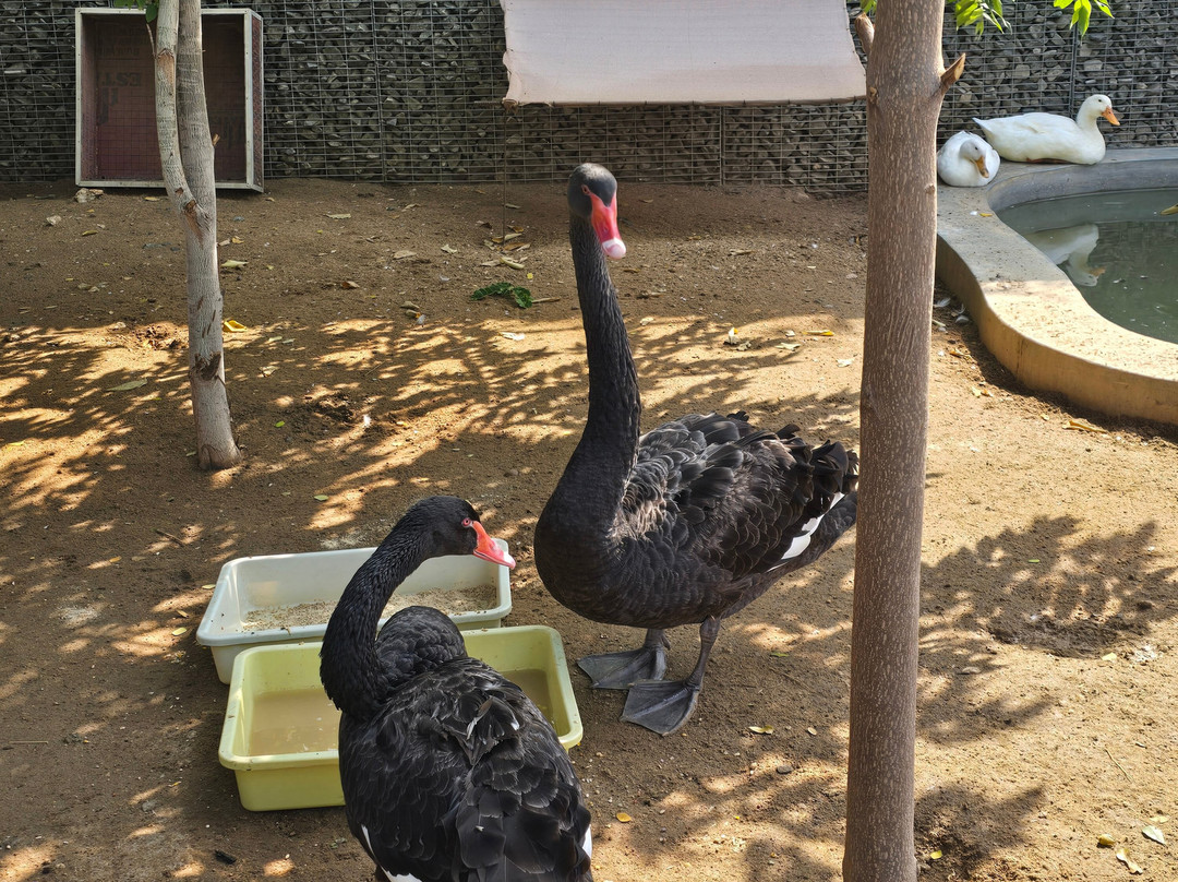 Trichy Birds Park-Tiruchirappalli District必去景点