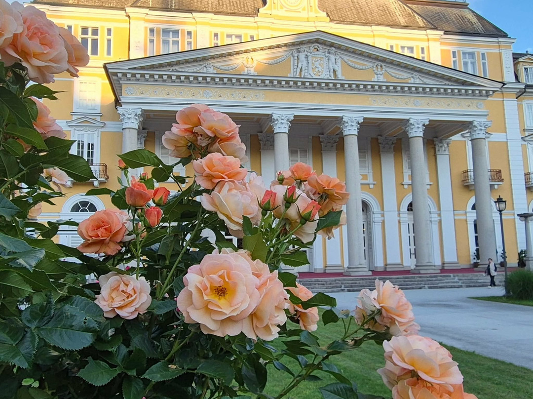 Grand Hotel Rogaška Premium主图