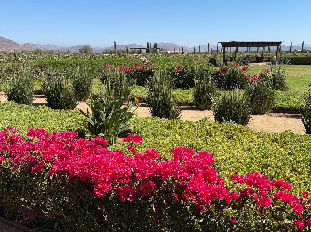 El Cielo Valle de Guadalupe-Valle de Guadalupe必去景点