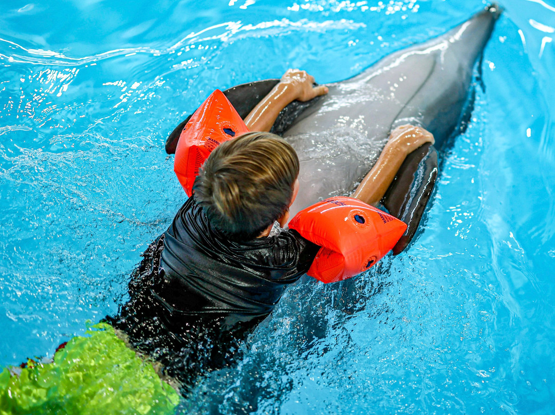 Pattaya Dolphinarium-芭堤雅必去景点