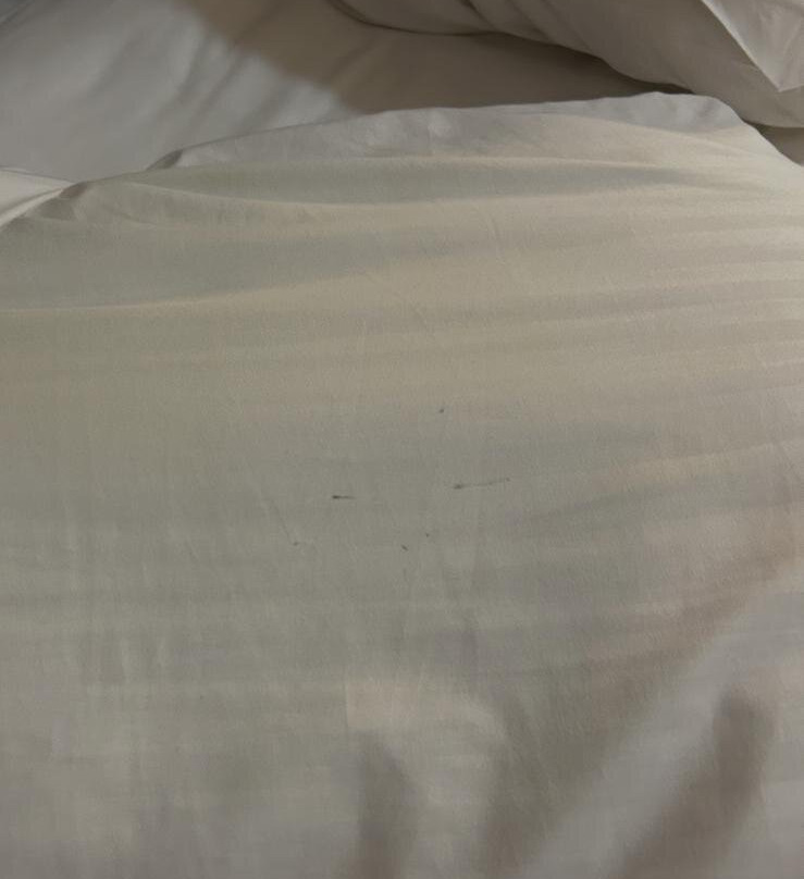 麦克唐纳·基尔海法庭主图