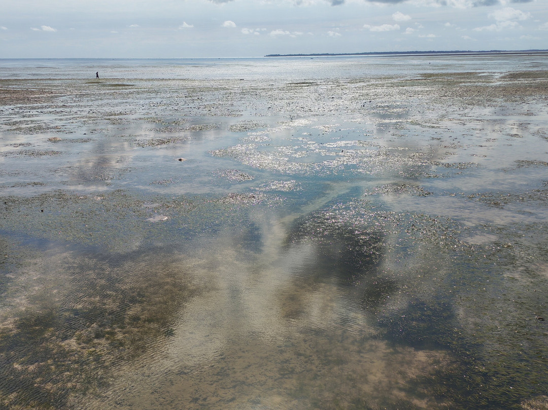 Paradise Beach Resort & Spa主图