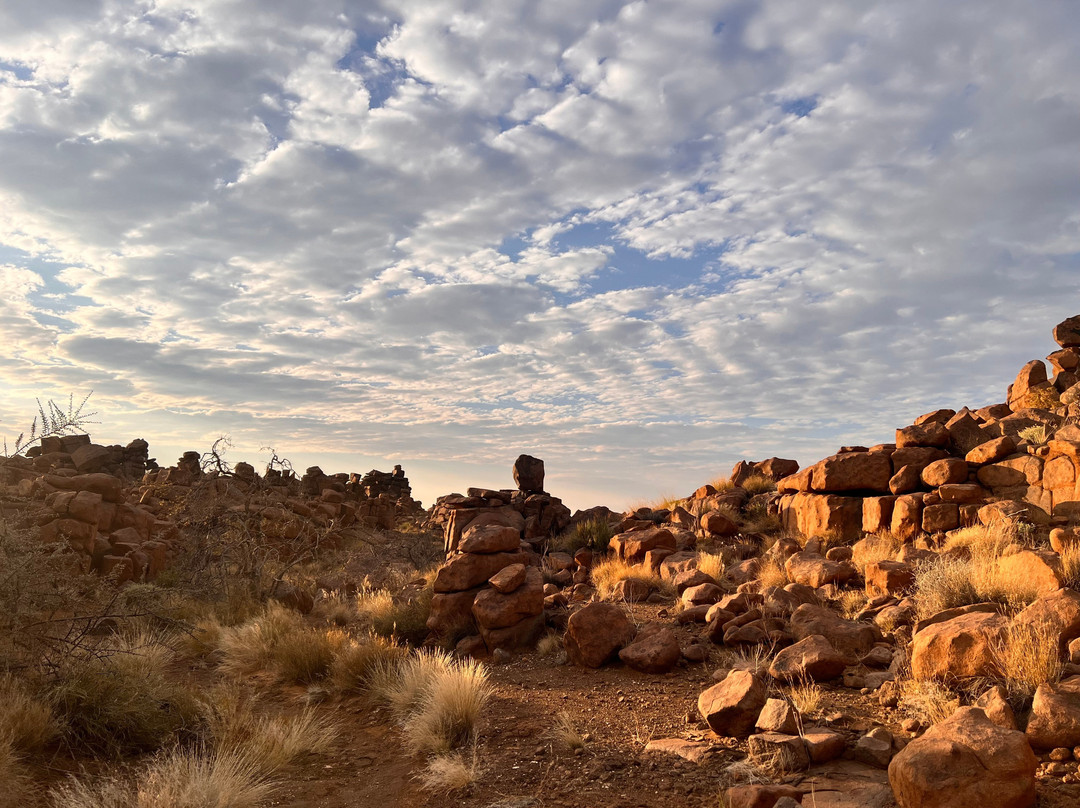Quivertree Forest and Giant's Playground-Keetmanshoop必去景点