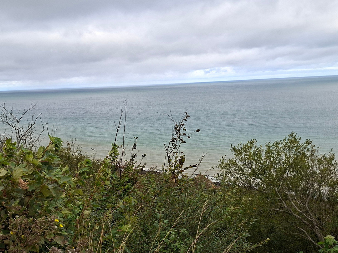 Batterie Allemande de Longues-Sure-Mer-Longues-sur-Mer必去景点